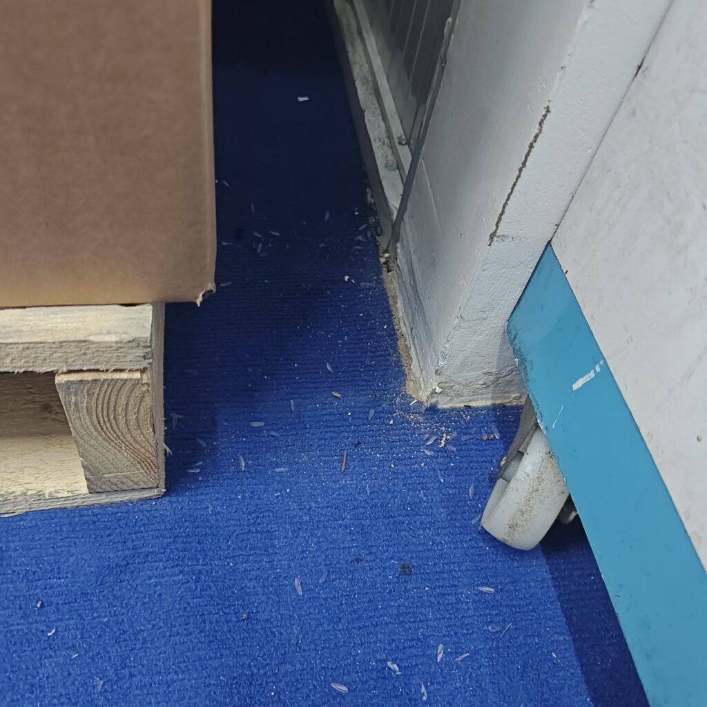 diet moi le van viet quan 9 4