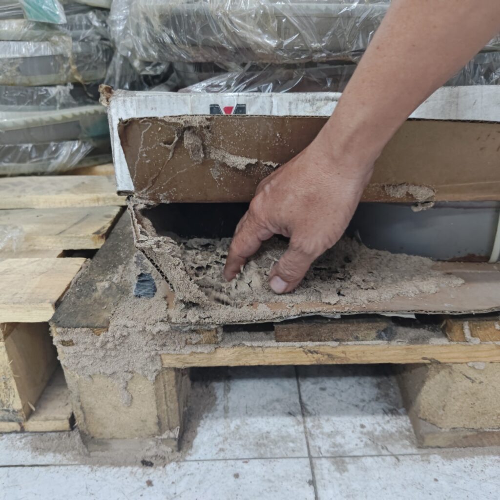 Mối gây hại cho nhiều công trình