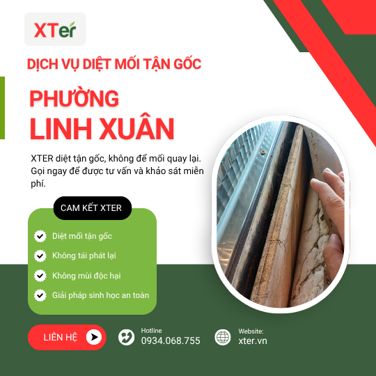 Dịch vụ diệt mối tận gốc tại Linh Xuân