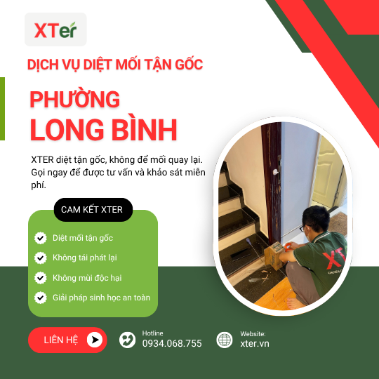 Dịch vụ diệt mối tận gốc tại Long Bình