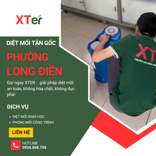 Dịch vụ diệt mối tận gốc tại Long Điền