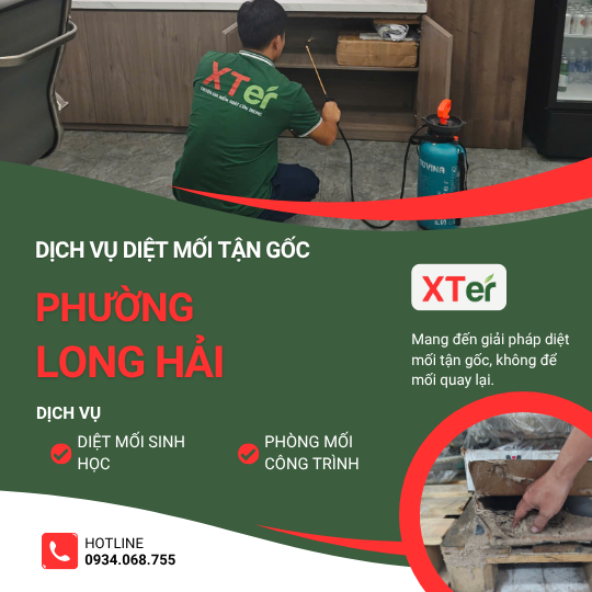 Dịch vụ diệt mối tận gốc tại Long Hải