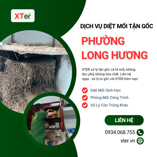 Dịch vụ diệt mối tận gốc tại Long Hương