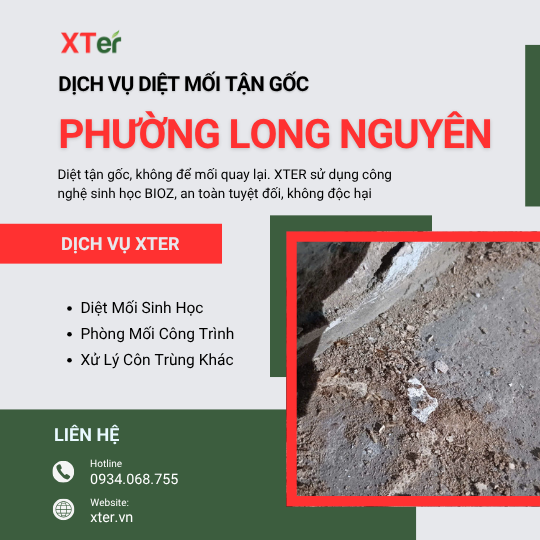 Dịch vụ diệt mối tận gốc tại Long Nguyên