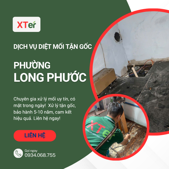 Dịch vụ diệt mối tận gốc tại Long Phước
