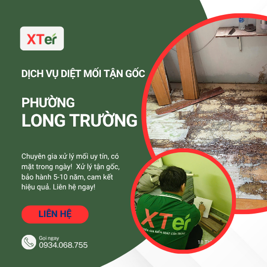 Dịch vụ diệt mối tận gốc tại Long Trường