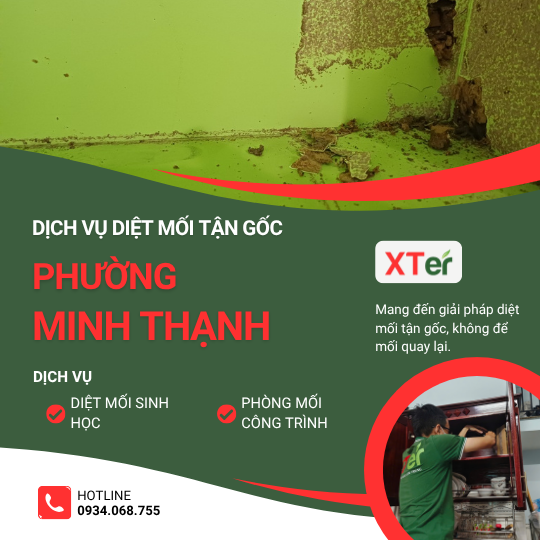 Dịch vụ diệt mối tận gốc tại Minh Thạnh
