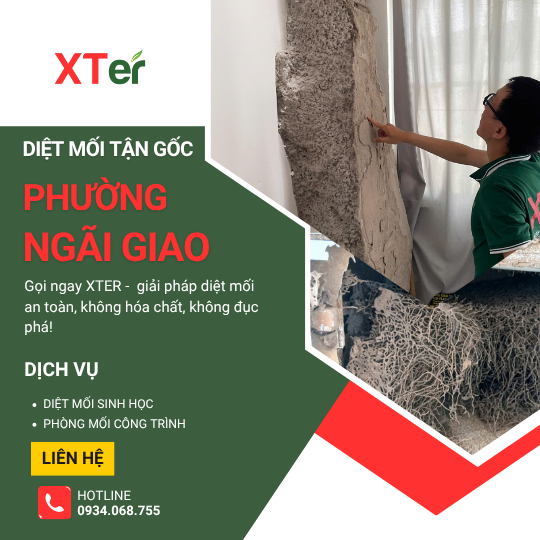 Dịch vụ diệt mối tận gốc tại Ngãi Giao