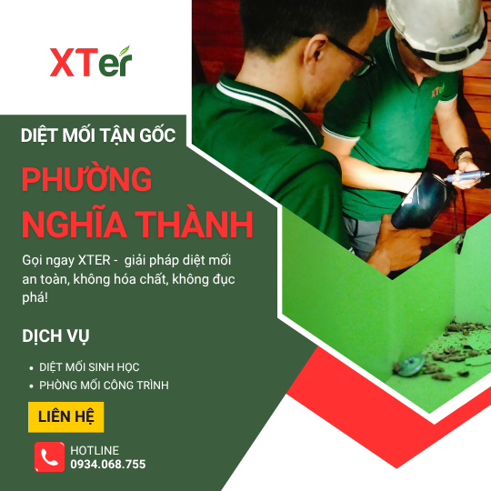 Dịch vụ diệt mối tận gốc tại Nghĩa Thành