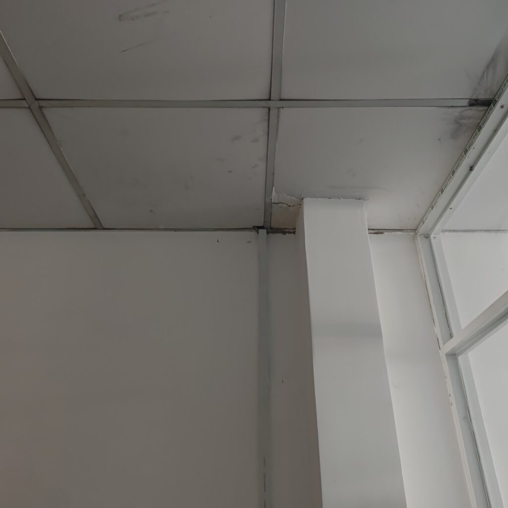 Khu vực trần thạch cao phòng khách xuất hiện vết nứt và dấu hiệu hoạt động của mối