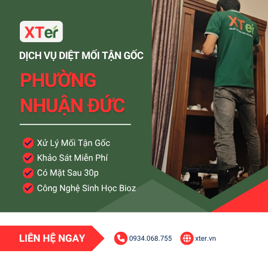 Dịch vụ diệt mối tận gốc tại Nhuận Đức