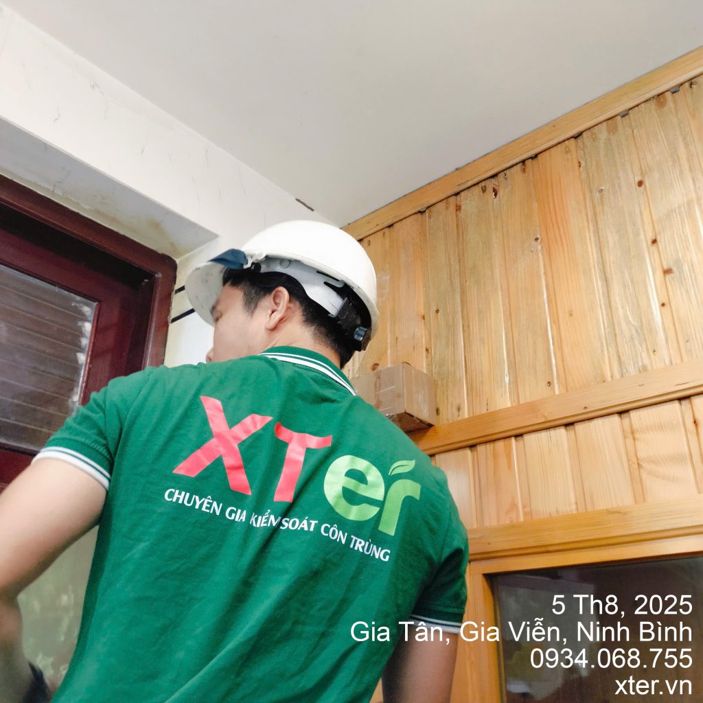 diet moi ninh binh 1