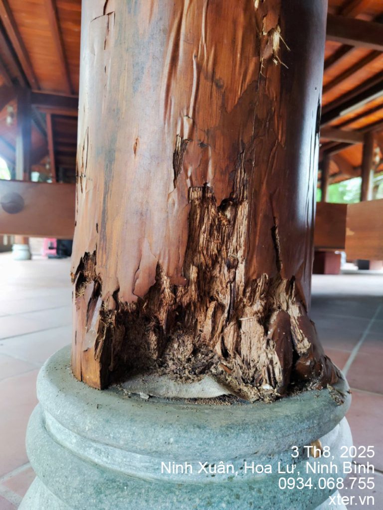 diet moi ninh binh 4