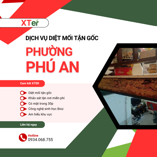 Dịch vụ diệt mối tận gốc tại Phú An