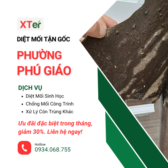 Dịch vụ diệt mối tận gốc tại Phú Giáo