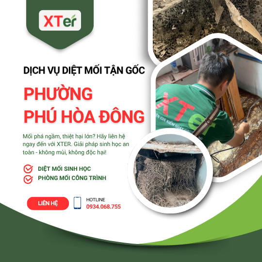 Dịch vụ diệt mối tận gốc tại Phú Hòa Đông
