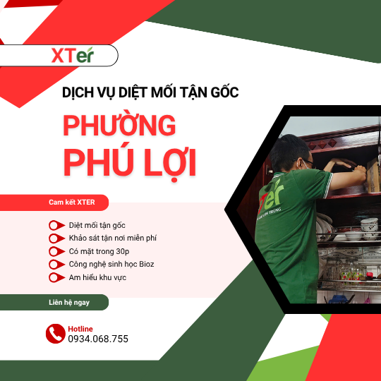 Dịch vụ diệt mối tận gốc tại Phú Lợi