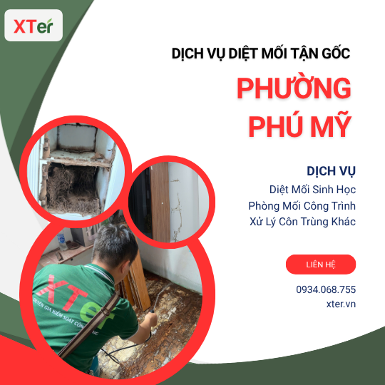 Dịch vụ diệt mối tận gốc tại Phú Mỹ