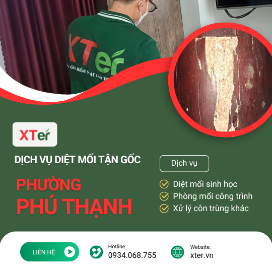 Dịch vụ diệt mối tận gốc tại Phú Thạnh