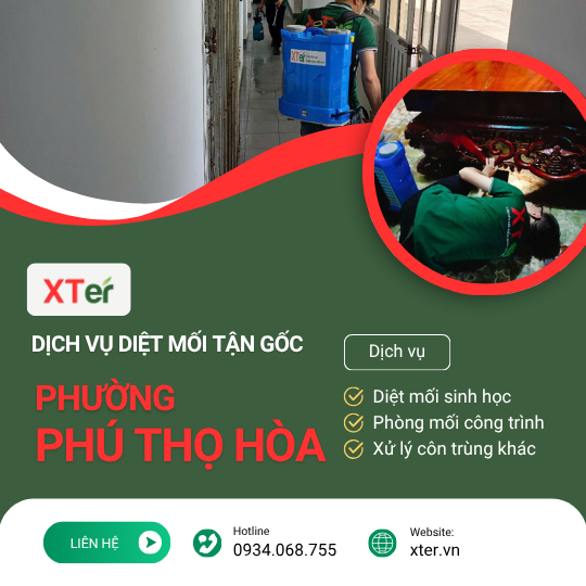 Dịch vụ diệt mối tận gốc tại Phú Thọ Hòa