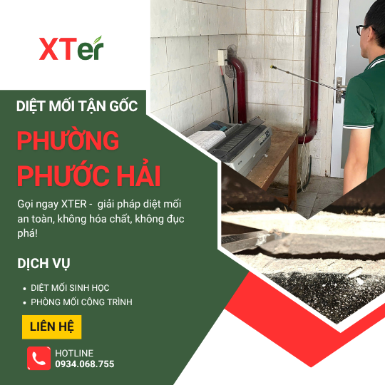 Dịch vụ diệt mối tận gốc tại Phước Hải
