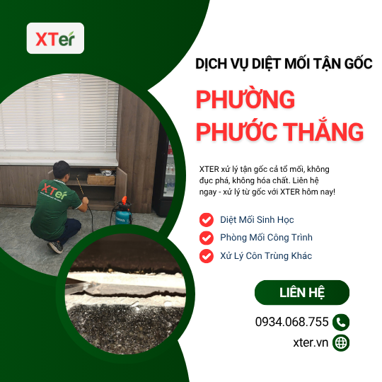 Dịch vụ diệt mối tận gốc tại Phước Thắng