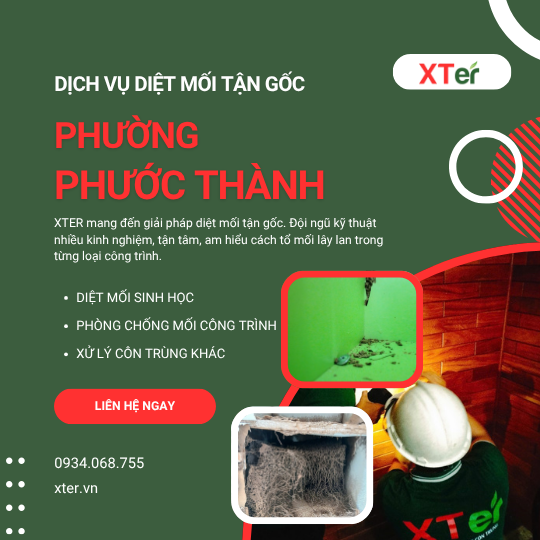 Dịch vụ diệt mối tận gốc tại Phước Thành