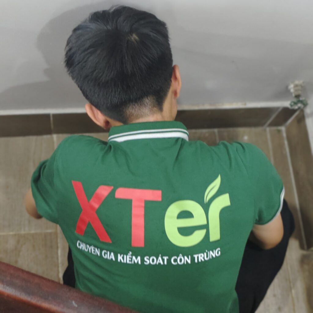 diet moi quang trung go vap 2