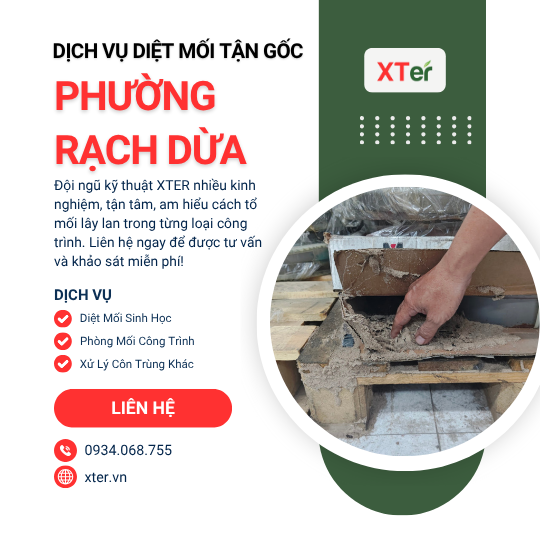 Dịch vụ diệt mối tận gốc tại Rạch Dừa