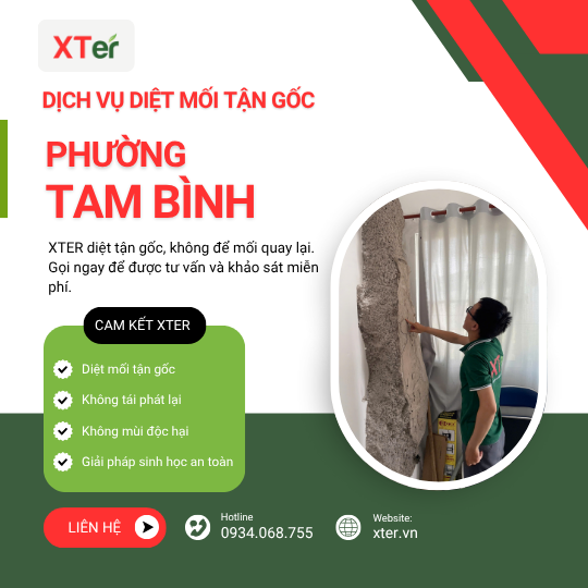 Dịch vụ diệt mối tận gốc tại Tam Bình