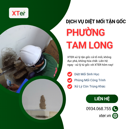 Dịch vụ diệt mối tận gốc tại Tam Long