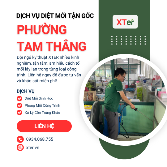 Dịch vụ diệt mối tận gốc tại Tam Thắng