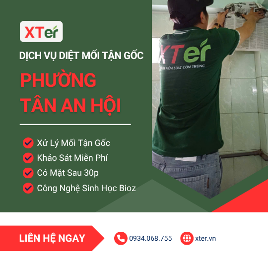 Dịch vụ diệt mối tận gốc tại Tân An Hội
