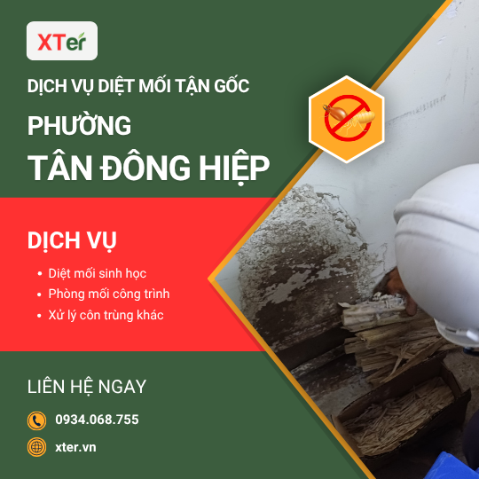 Dịch vụ diệt mối tận gốc tại Tân Đông Hiệp