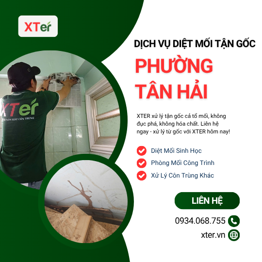 Dịch vụ diệt mối tận gốc tại Tân Hải