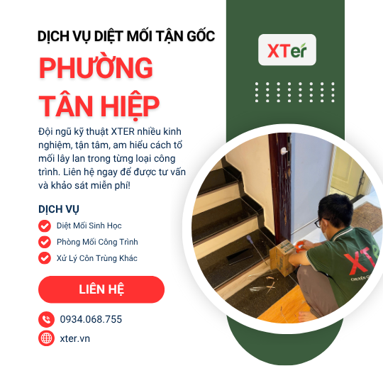 Dịch vụ diệt mối tận gốc tại Tân Hiệp