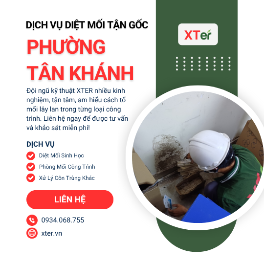 Dịch vụ diệt mối tận gốc tại Tân Khánh