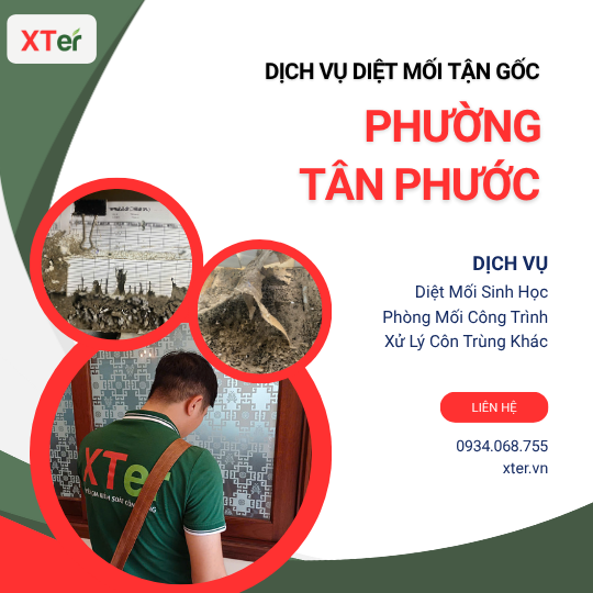 Dịch vụ diệt mối tận gốc tại Tân Phước
