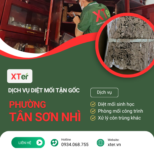 Dịch vụ diệt mối tận gốc tại Tân Sơn Nhì