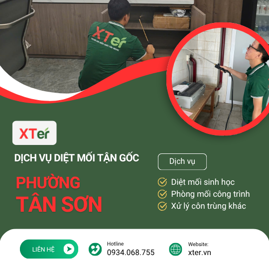 Dịch vụ diệt mối tận gốc tại Tân Sơn