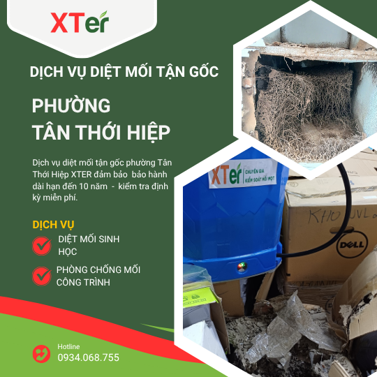 Dịch vụ diệt mối tận gốc tại Tân Thới Hiệp