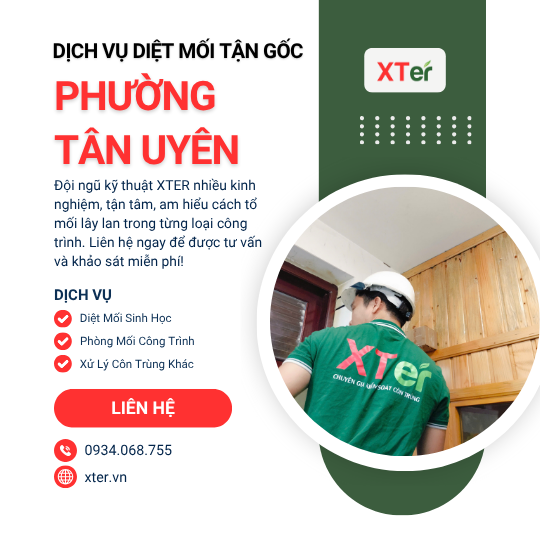 Dịch vụ diệt mối tận gốc tại Tân Uyên