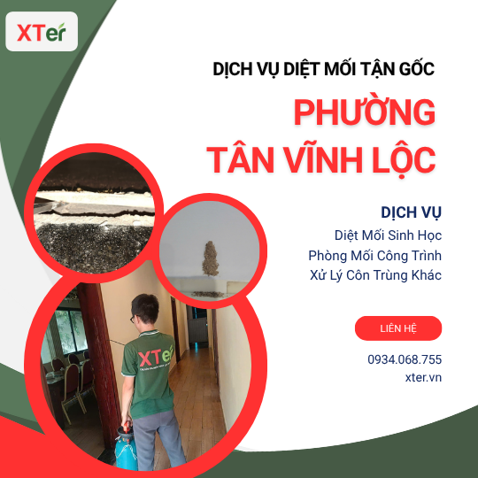 Dịch vụ diệt mối tận gốc tại Tân Vĩnh Lộc