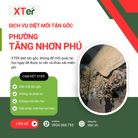 Dịch vụ diệt mối tận gốc tại Tăng Nhơn Phú