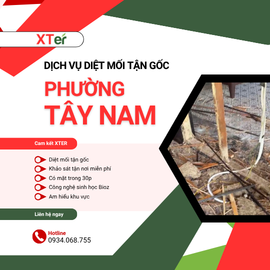 Dịch vụ diệt mối tận gốc tại Tây Nam