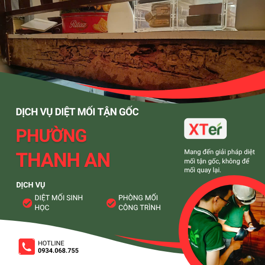 Dịch vụ diệt mối tận gốc tại Thanh An
