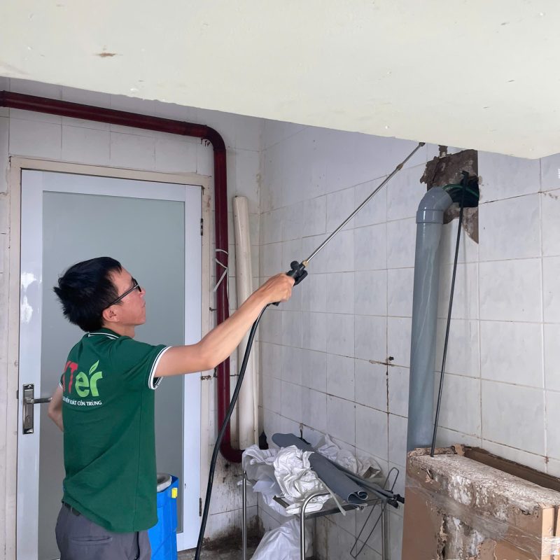 diet moi thanh hoa 1