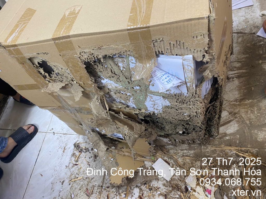 diet moi thanh hoa 5