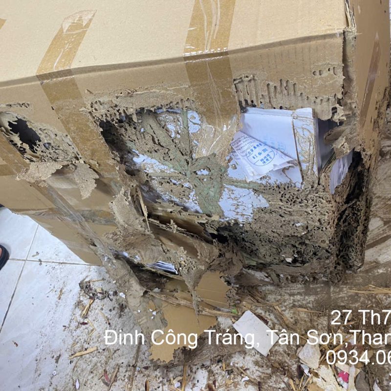 diet moi thanh hoa 5