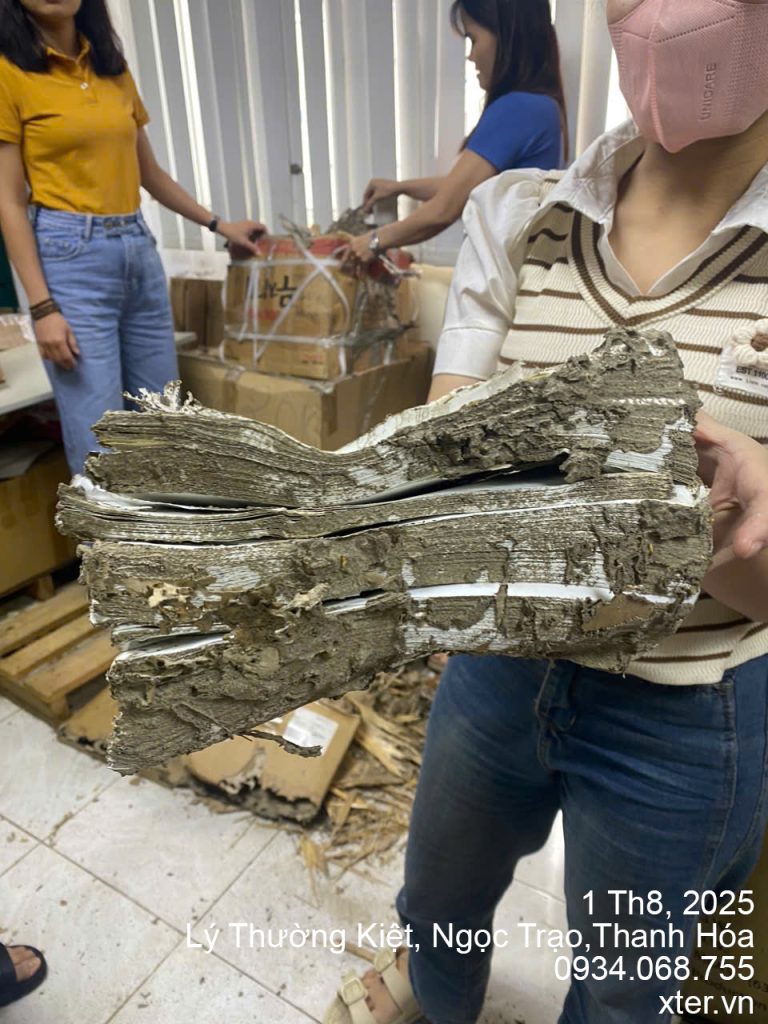 diet moi thanh hoa 6